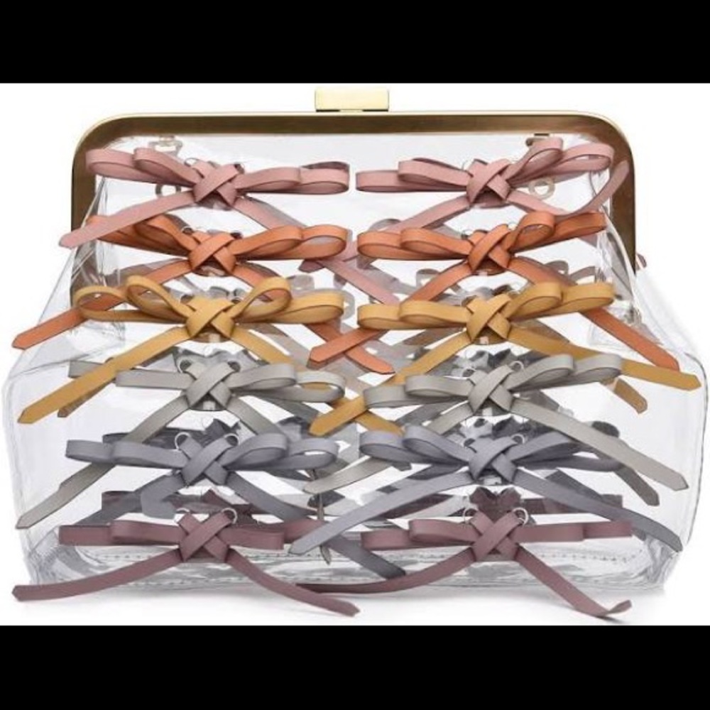 ZAC Zac Posen Lacey Frame Clutch Clear NWT